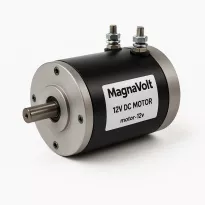 Product MagnaVolt 12V DC Motor model F47646 Image